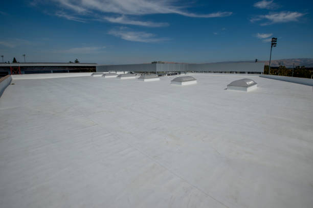 Best Roof Ventilation Installation  in Warren, OH