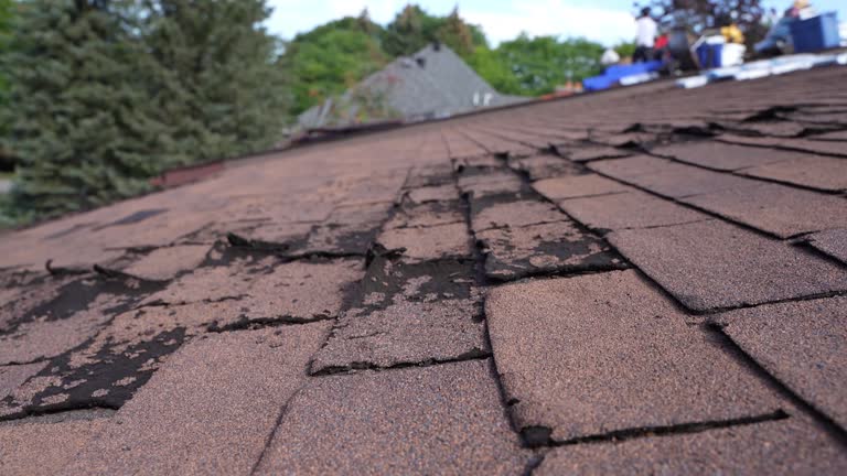 Best Wood Shake Roofing  in Warren, OH