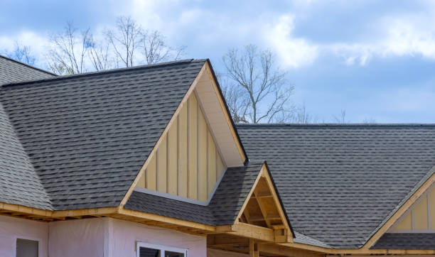 Best Asphalt Shingle Roofing  in Warren, OH